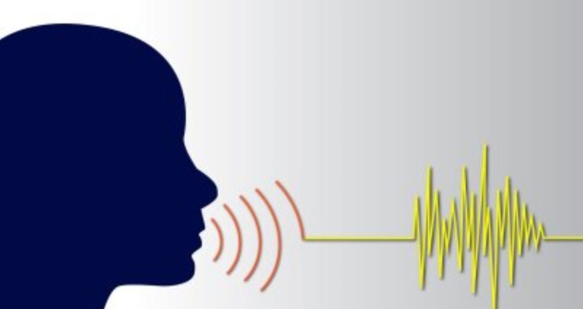 Johannesburg Private Investigators | D&K Management Consultants